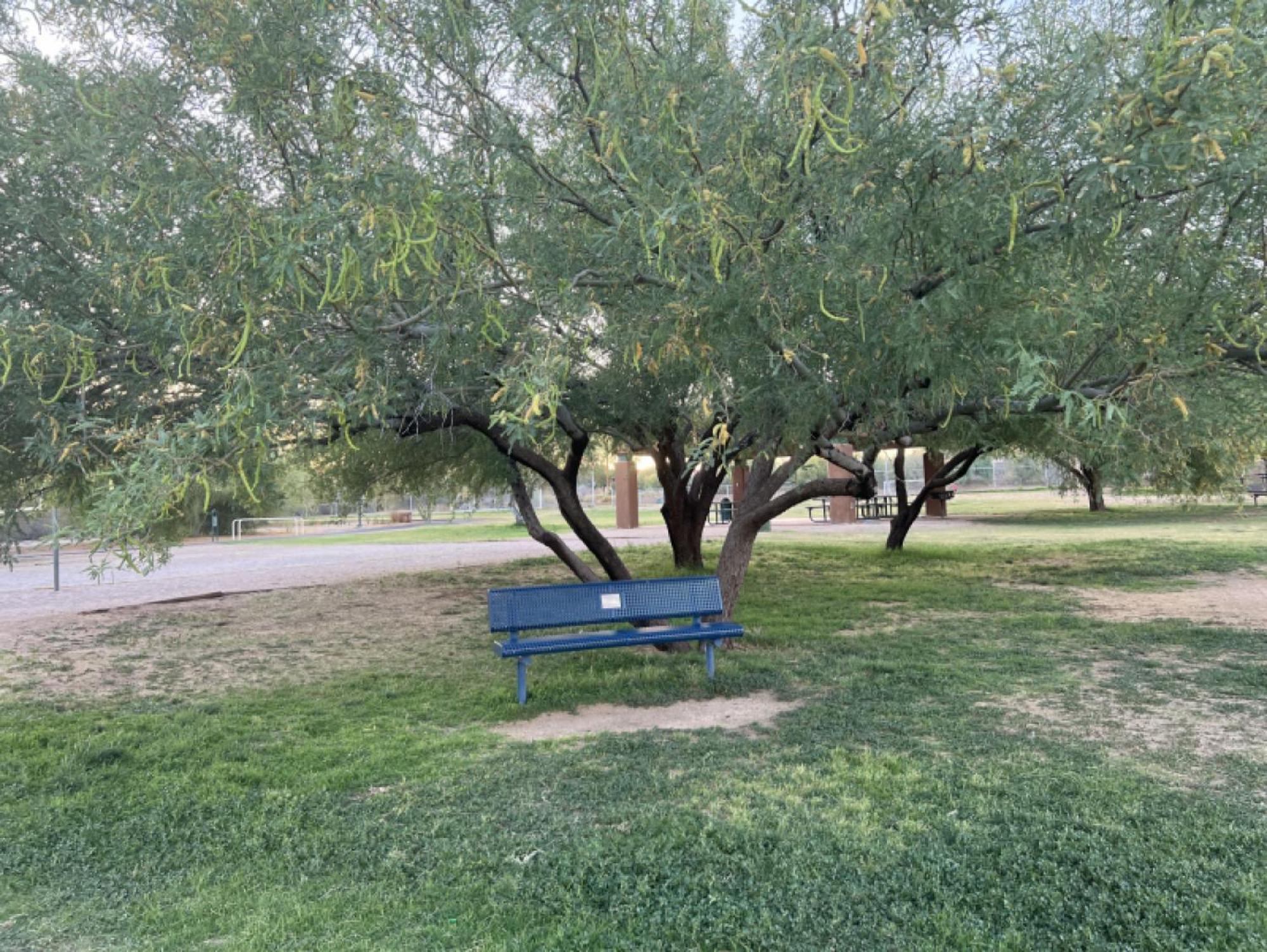 Private Home - Billiards, Mountain Views, Private Desert Access, Hoa Pool & Spa, Bbq, At Lambert Park - Bourbondale Τούσον Εξωτερικό φωτογραφία